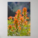 Suche nach malerpinsel poster Natur