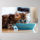 Suche nach tierthemen poster Ein tier