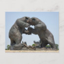 Suche nach bears postkarten Bären