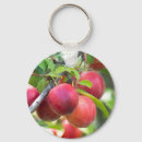 Recherche de prune porteclés Jardin