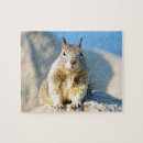 Recherche de écureuil puzzles Faune