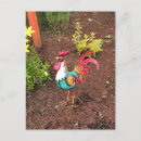 Recherche de rooster cartes postales Jardin