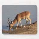 Suche nach südafrika mousepads Safari