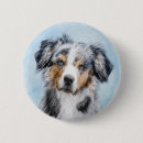 Recherche de chien berger australien badges Chiot