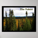 Recherche de yukon posters Forêt