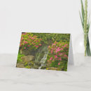 Recherche de rhododendron vœux cartes Azalée