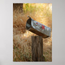 Recherche de boîte aux lettres posters Usps