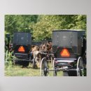 Suche nach buggyen poster Fotografie