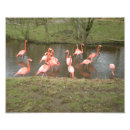 Recherche de patricia posters Photographie