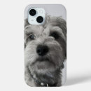Suche nach schnauzer iphone hüllen Welpe