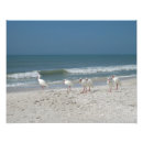 Suche nach ibis poster Strand