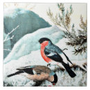 Suche nach winterlandschaft fliesen Natur
