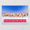 Recherche de rennes invitations Humour