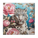 Recherche de neige carreaux Faune