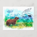 Recherche de kodiak alaska cartes postales Ours