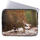 Suche nach hirsch laptop schutzhüllen Fauna