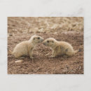 Recherche de côté sauvage posters Jour