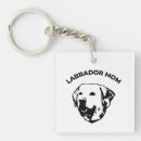 Recherche de labrador porteclés Drôle