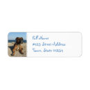Recherche de boxeur mignon Chien de boxeur
