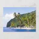 Recherche de greg johnston cartes postales Tropical