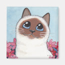 Recherche de birmans magnets De chat