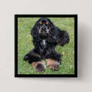 Recherche de cocker badges Dog