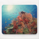 Suche nach riff mousepads Unterwasser