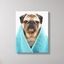 Suche nach lustiger mops leinwandbilder Niedlich