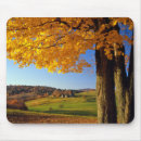 Suche nach idyllisch mousepads Zaun