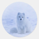 Recherche de arctique autocollants Île