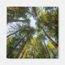 Suche nach staat kalifornien magnete Wald