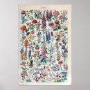 Suche nach vintage flowers poster Colorful