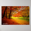 Suche nach baum blätter poster Orange