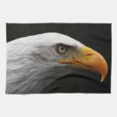 Recherche de aigle chauve cuisine linges Sauvage