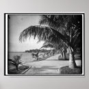 Suche nach palmenstrand poster Florida