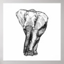 Suche nach minimalismus poster Pflanze