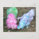 Recherche de soie bleue cartes postales Violet