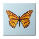 Suche nach monarchfalter fliesen Orange