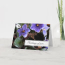 Recherche de violettes africaines vœux cartes Pour tous