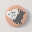 Recherche de expérimentation animale accessoires Lapin