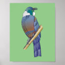 Suche nach endemisch poster Vogelvogel