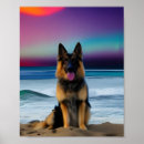 Recherche de chien de berger posters Nature