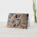 Suche nach spiralen karten Magie