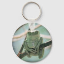 Recherche de photo de grenouille accessoires Amphibien