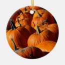 Recherche de citrouille ornements Automne