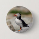 Recherche de atlantique badges Animal