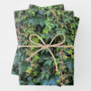 Suche nach seren geschenkpapier Natur