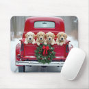 Suche nach goldener welpe mousepads Welpen