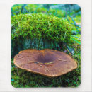 Suche nach eichel mousepads Natur
