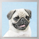 Suche nach chinesischer hund poster Mops